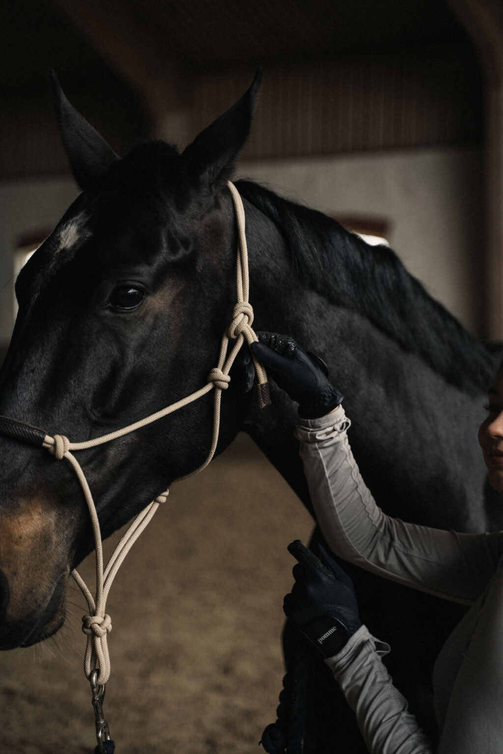 Hailey Black, Riding Gloves - Image 7