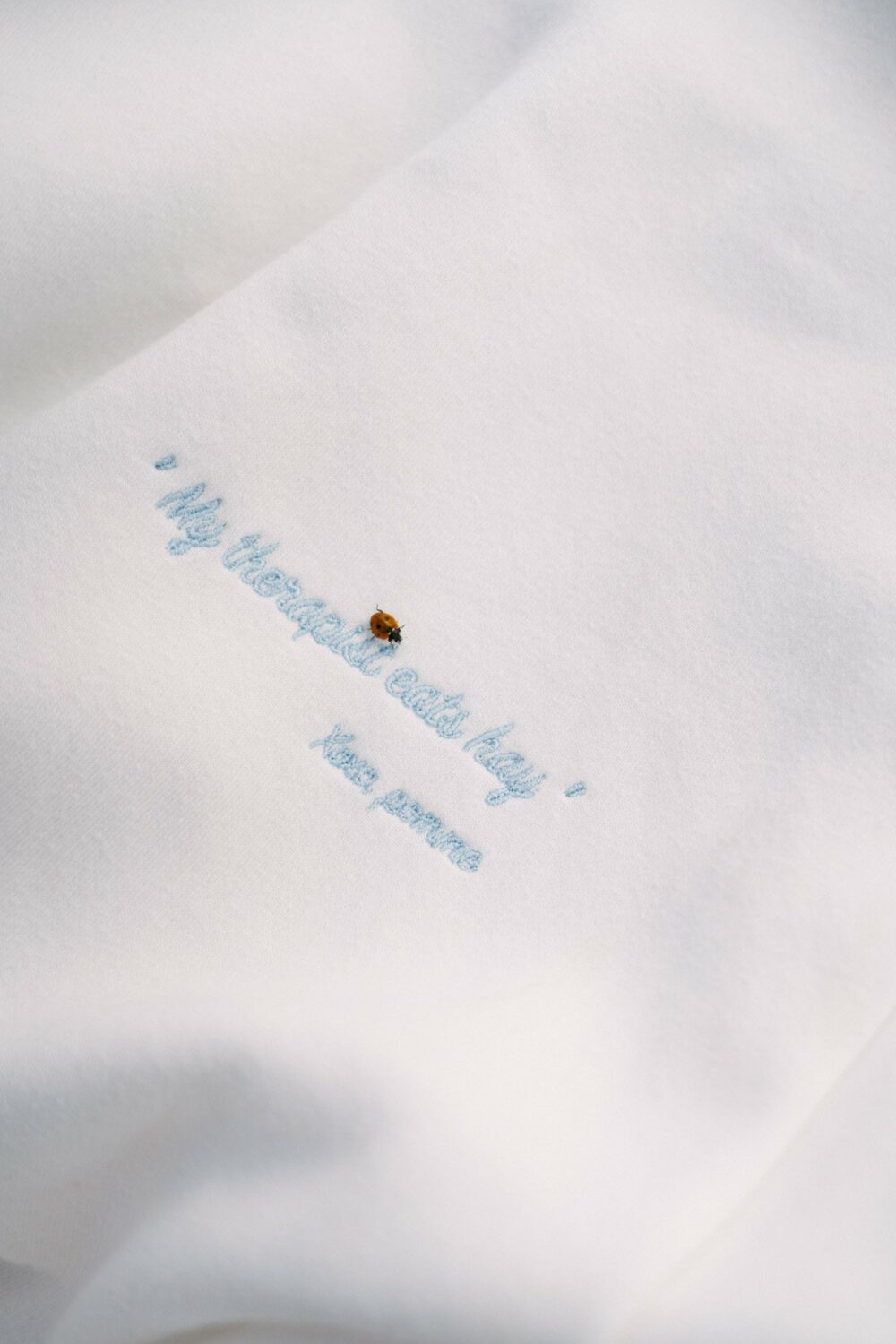 Hay Crewneck - Image 5