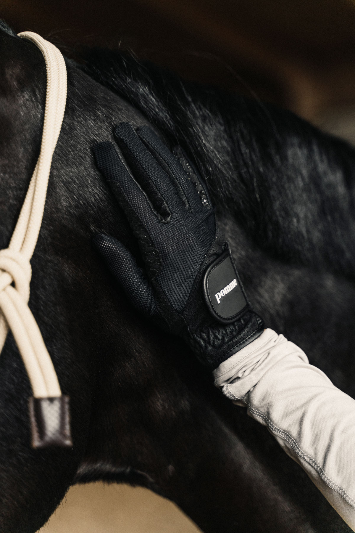 Hailey Black, Riding Gloves