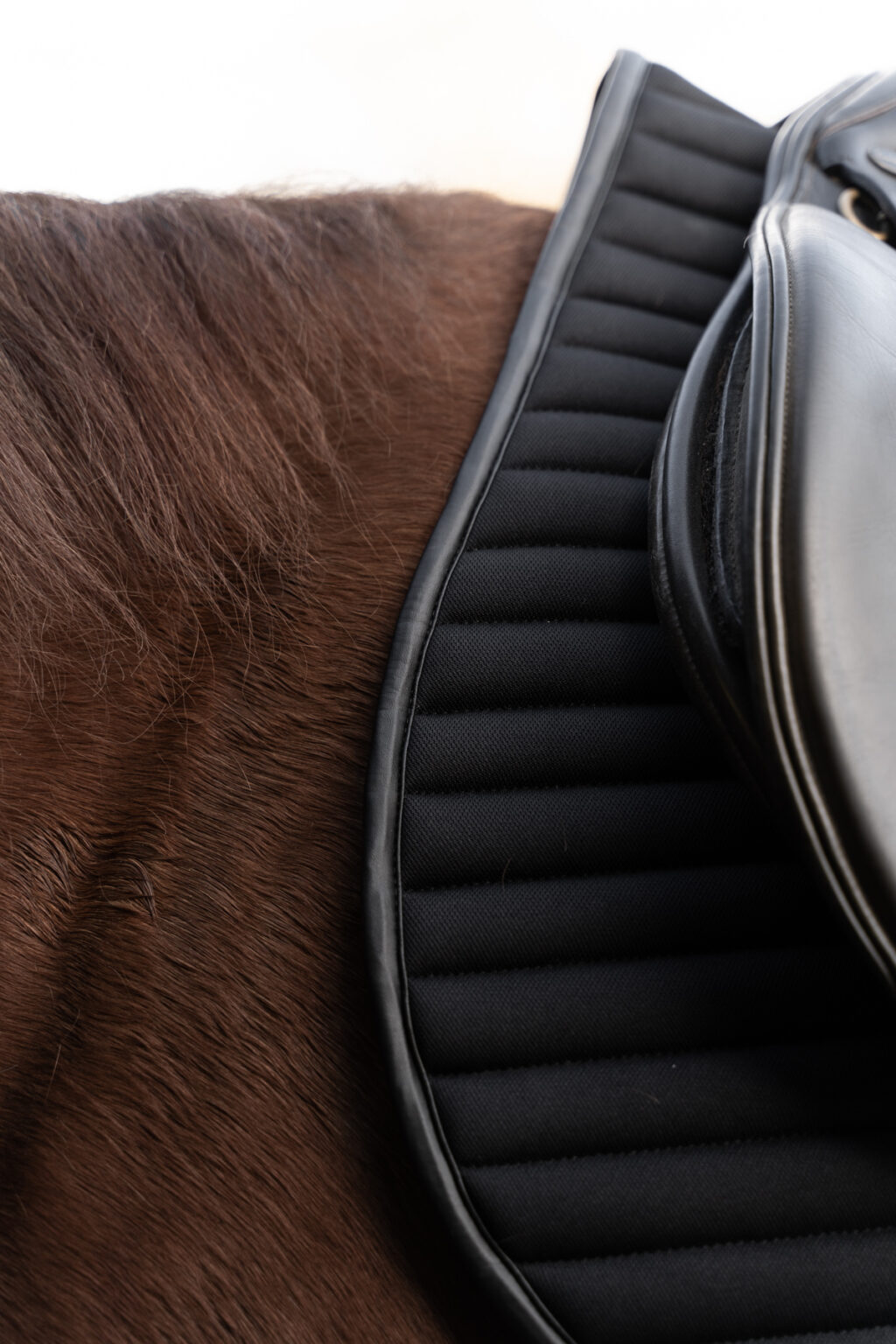 Saddle Pad, Black - Image 3