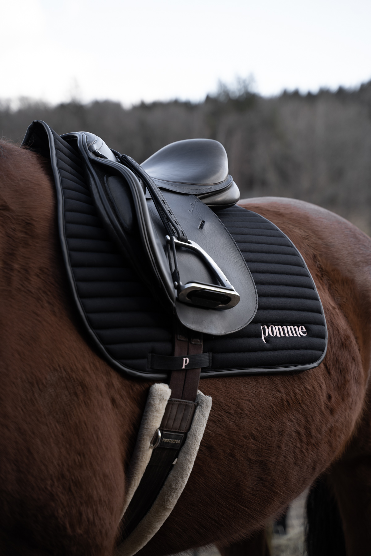 Saddle Pad, Black