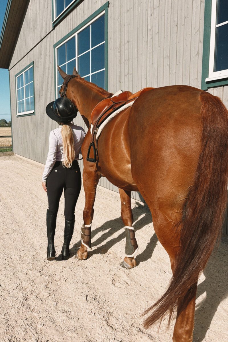 Nellie black classic breeches