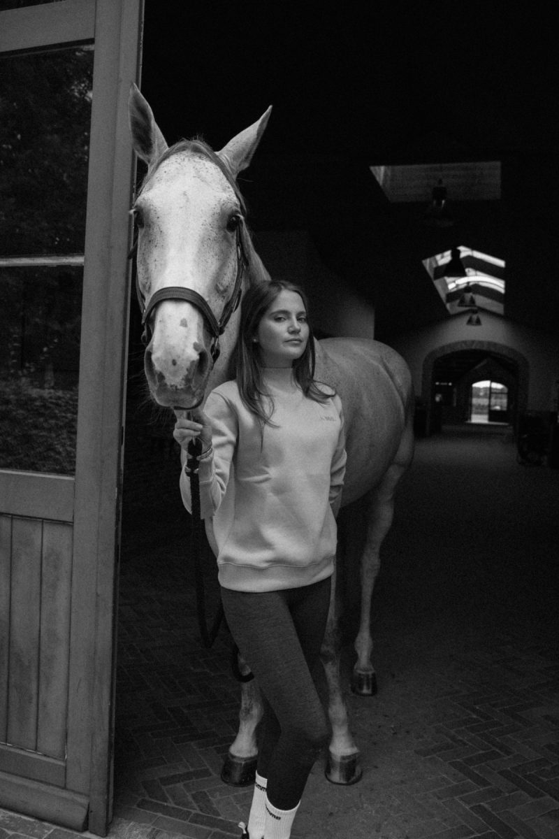 Romy Crew Neck, Savannah Tan 4