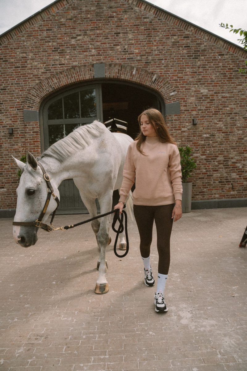 Romy Crew Neck, Savannah Tan 9